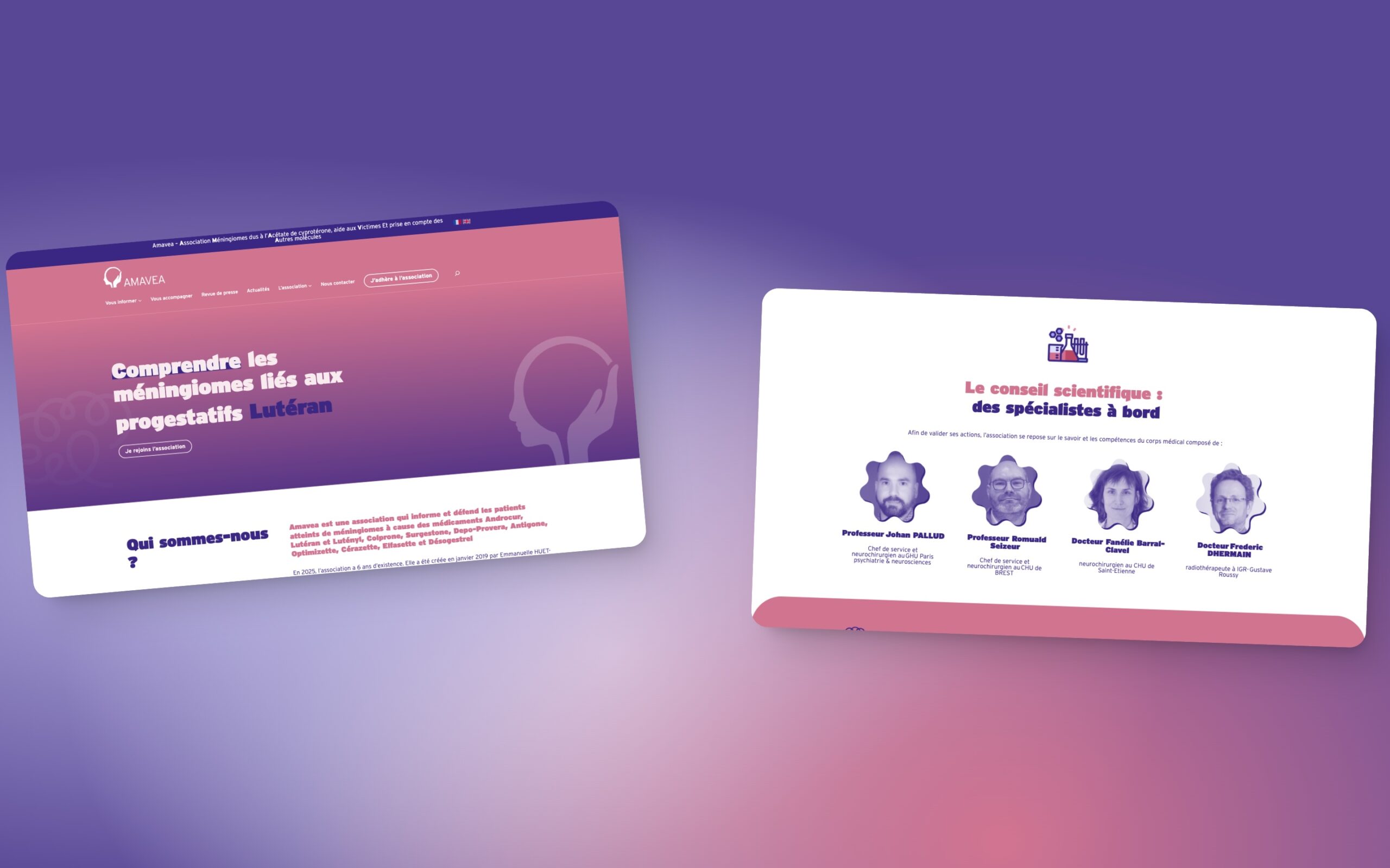 Projet Amavea Pixelea